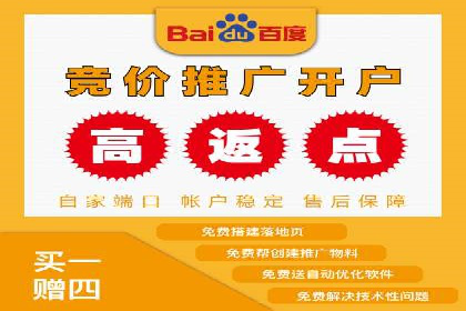 某电商平台的SEM推广策略全解析